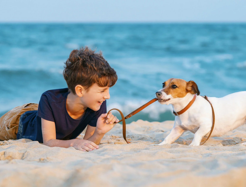 media.Hotel_Ariston_Misano-Petfriendly