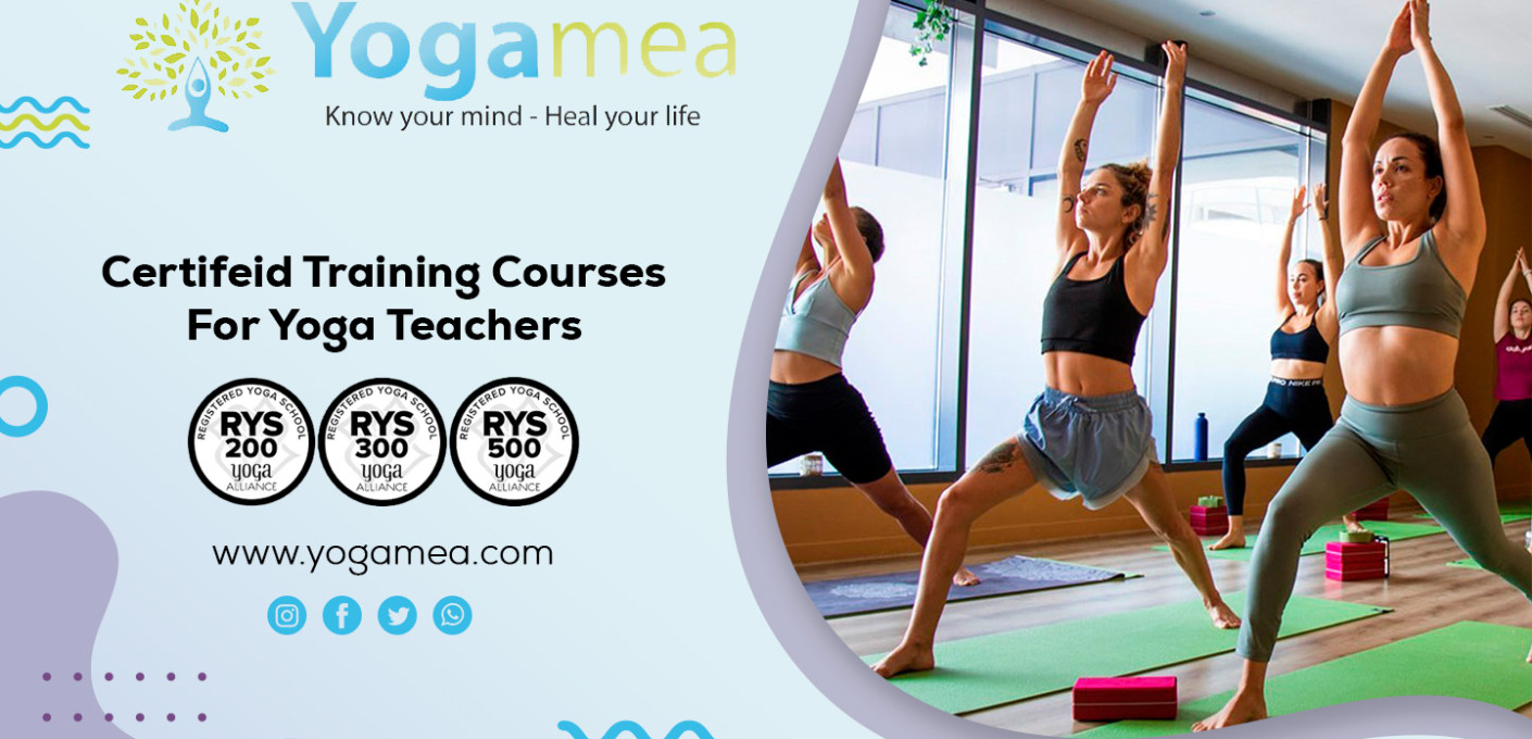 media.359833622_315408247510446_2801136035971486892_n